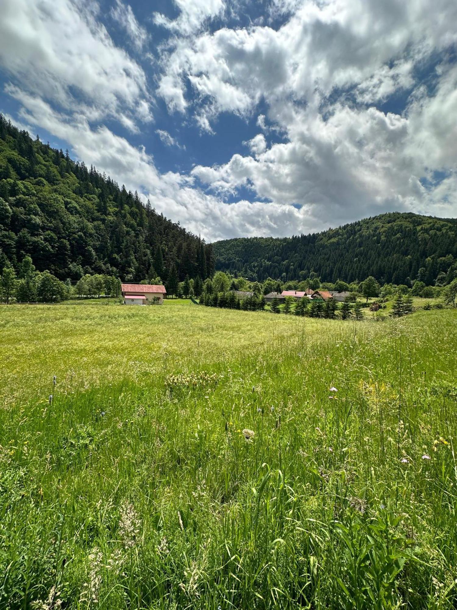 Vama Chalet Vama Buzăului Dış mekan fotoğraf