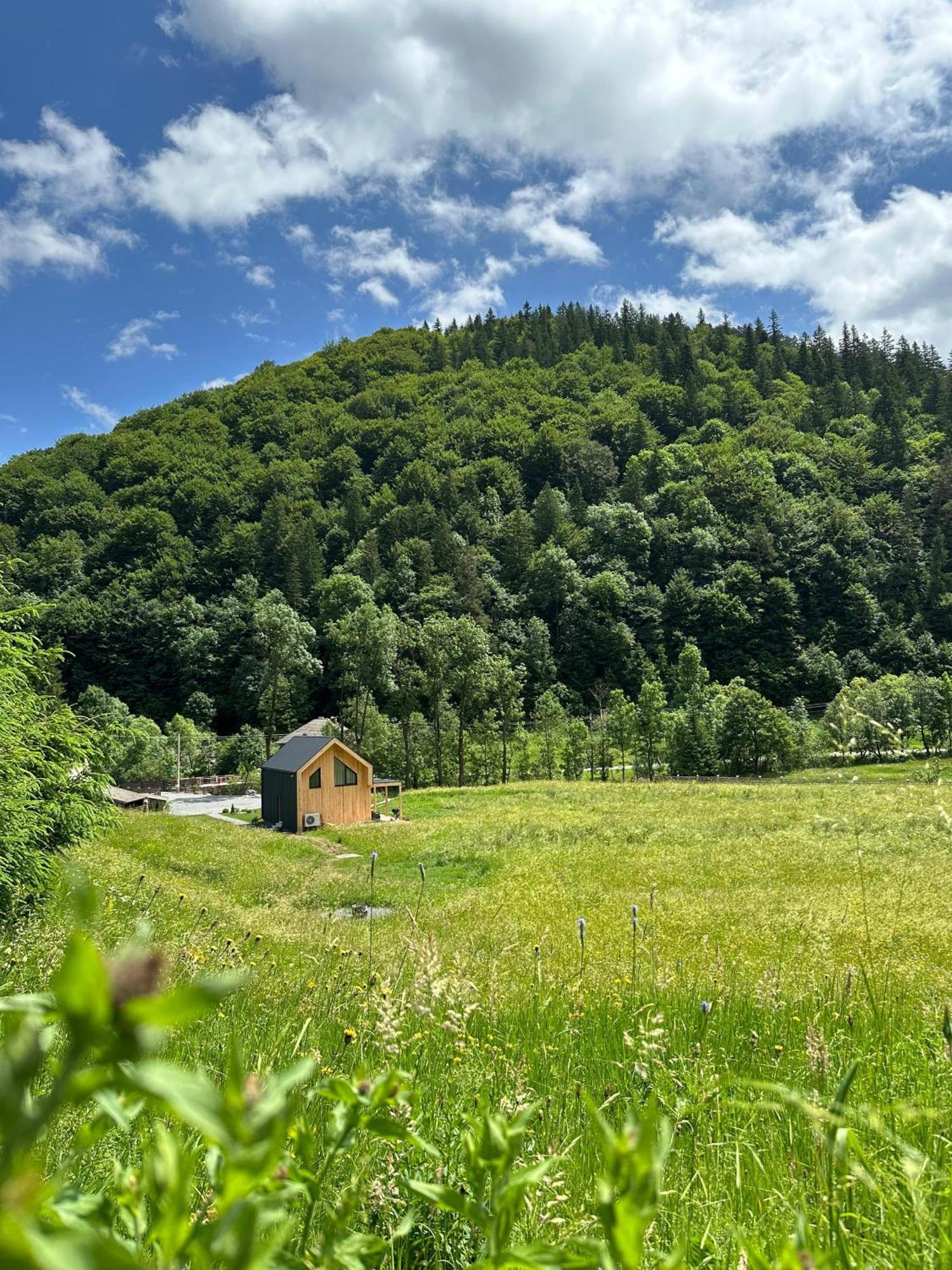 Vama Chalet Vama Buzăului Dış mekan fotoğraf